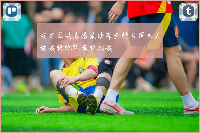 安东因病毒感染缺席多特与国米关键战役球队面临挑战